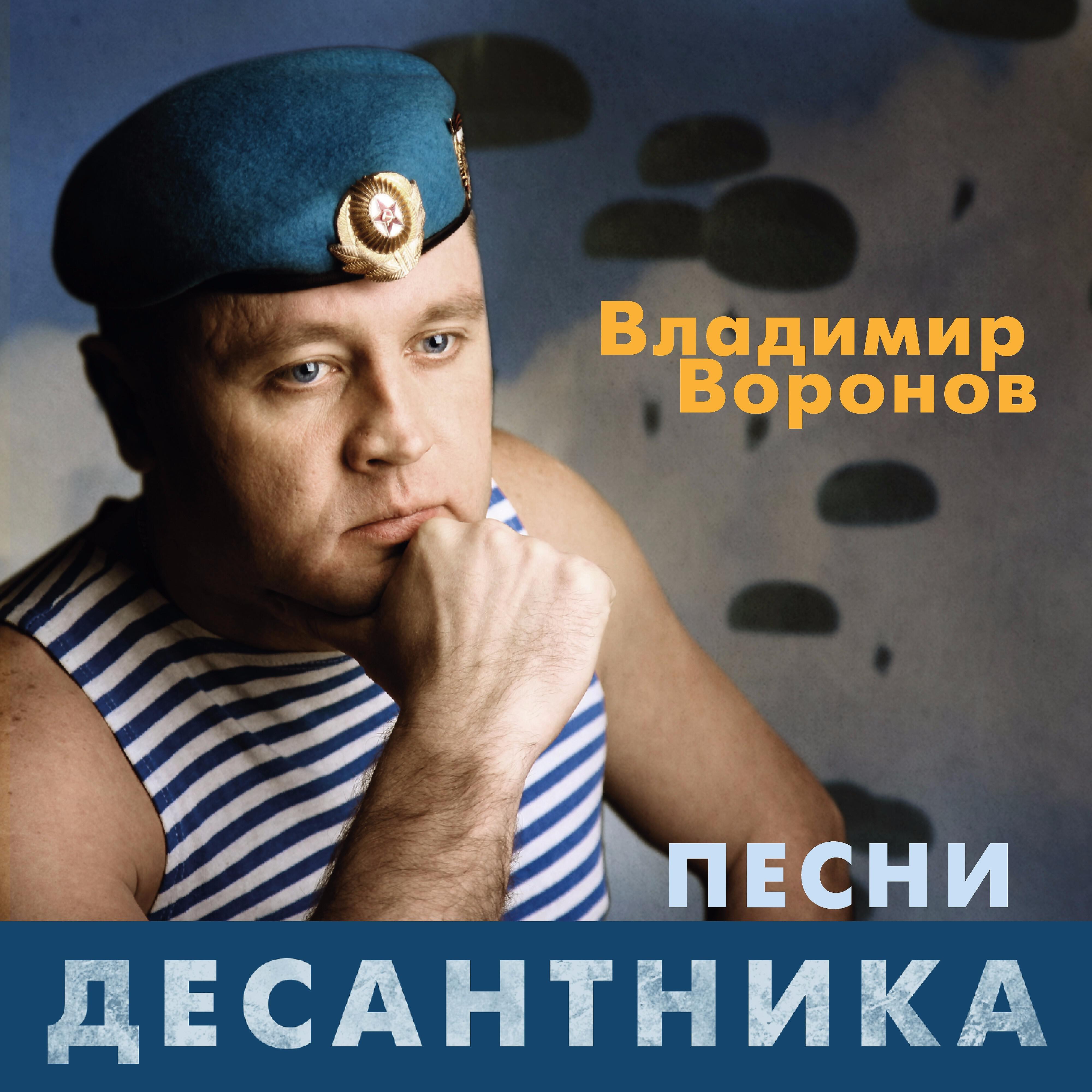 Владимир Воронов - Мои пацаны