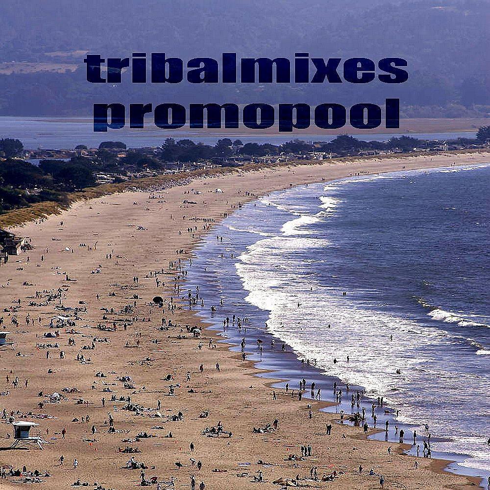 Постер альбома Tribalmixes Promopool
