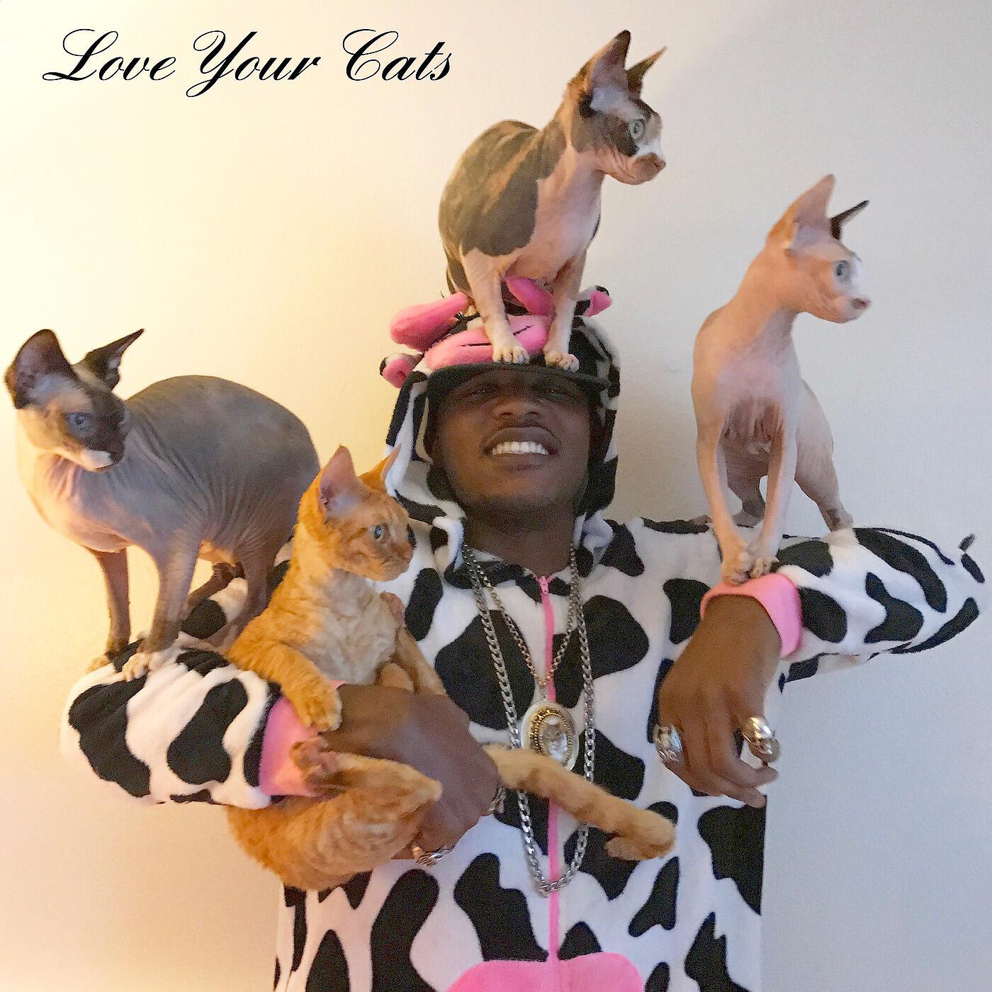 iAmMoshow - Love Your Cats