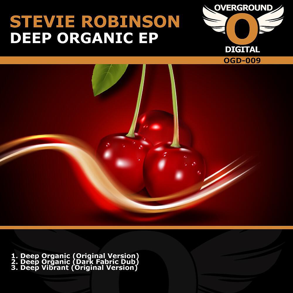 Stevie Robinson - Deep Organic (Dark Fabric Dub)