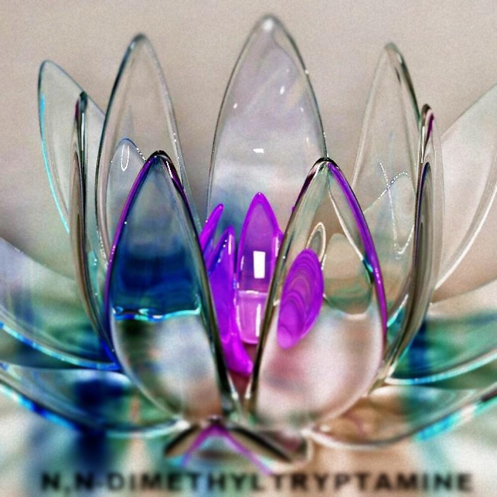 Fobee - Dmt (Original Mix)