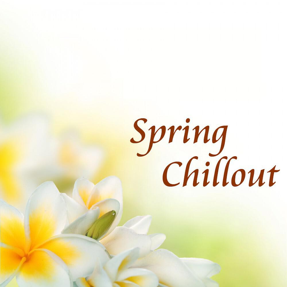 Chill Luly - Bordeuax