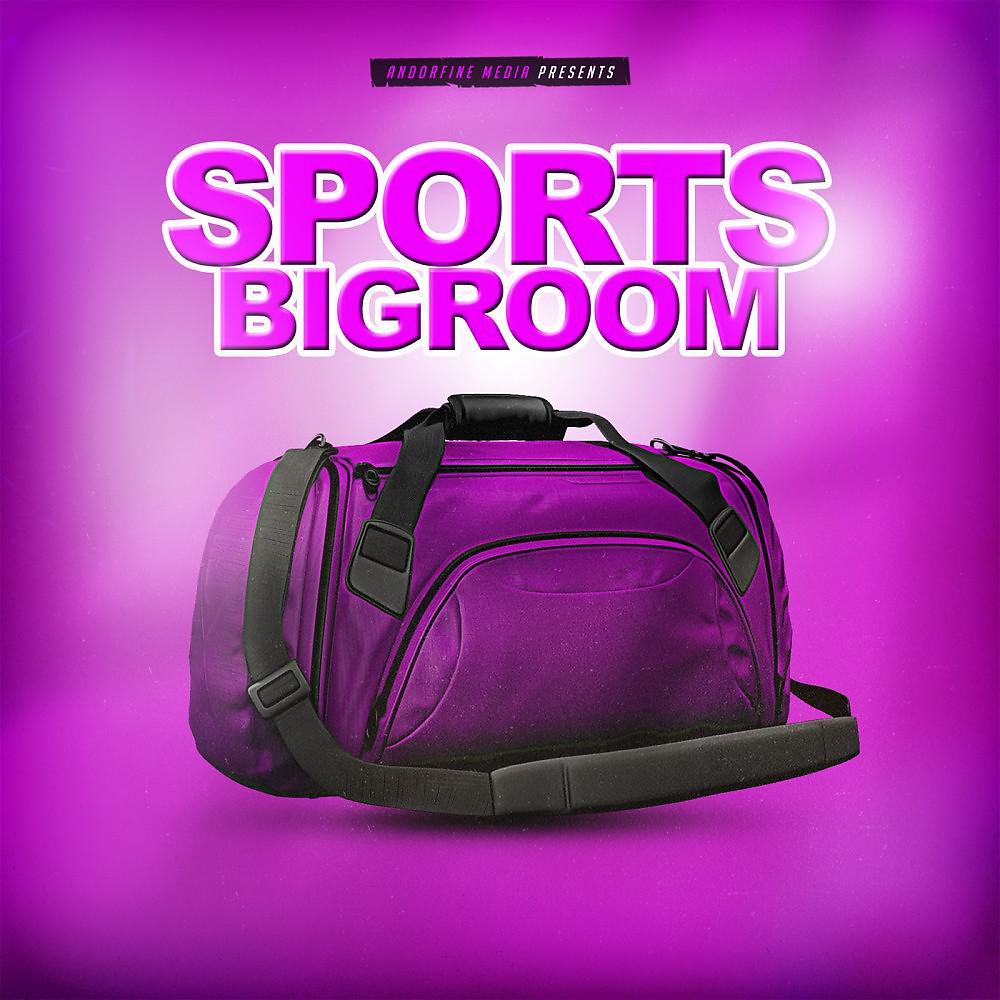 Постер альбома Sports Bigroom