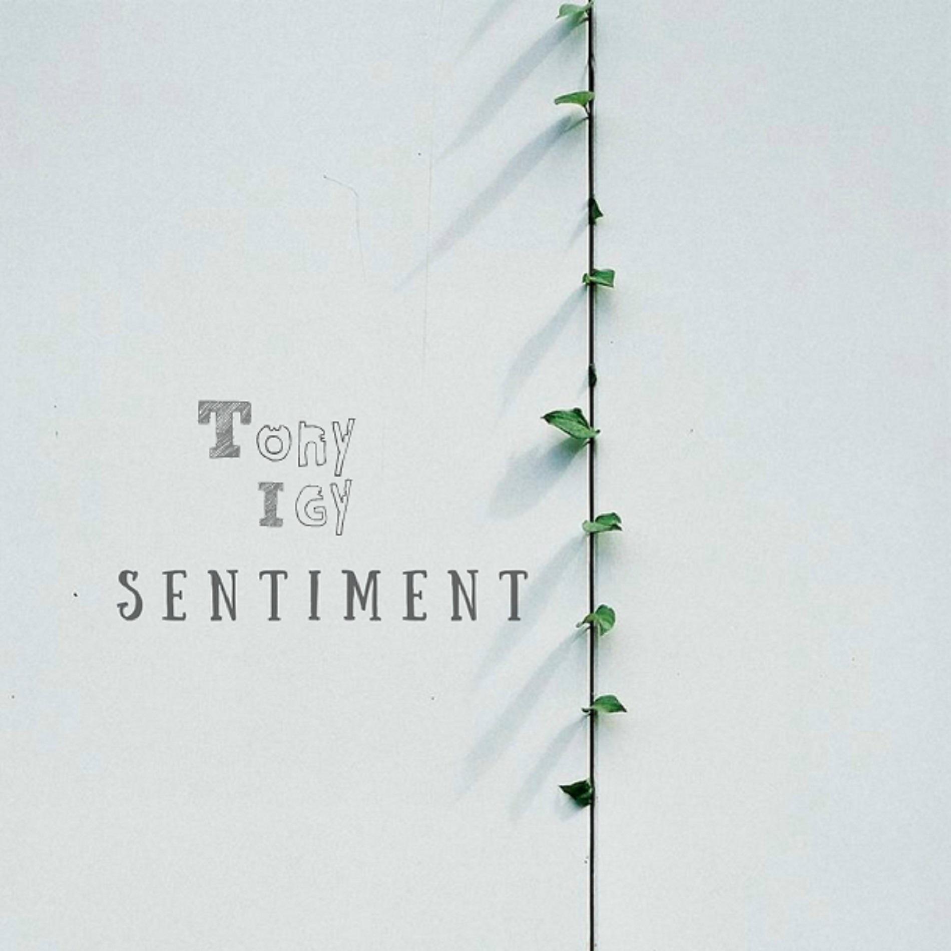 Постер альбома Sentiment