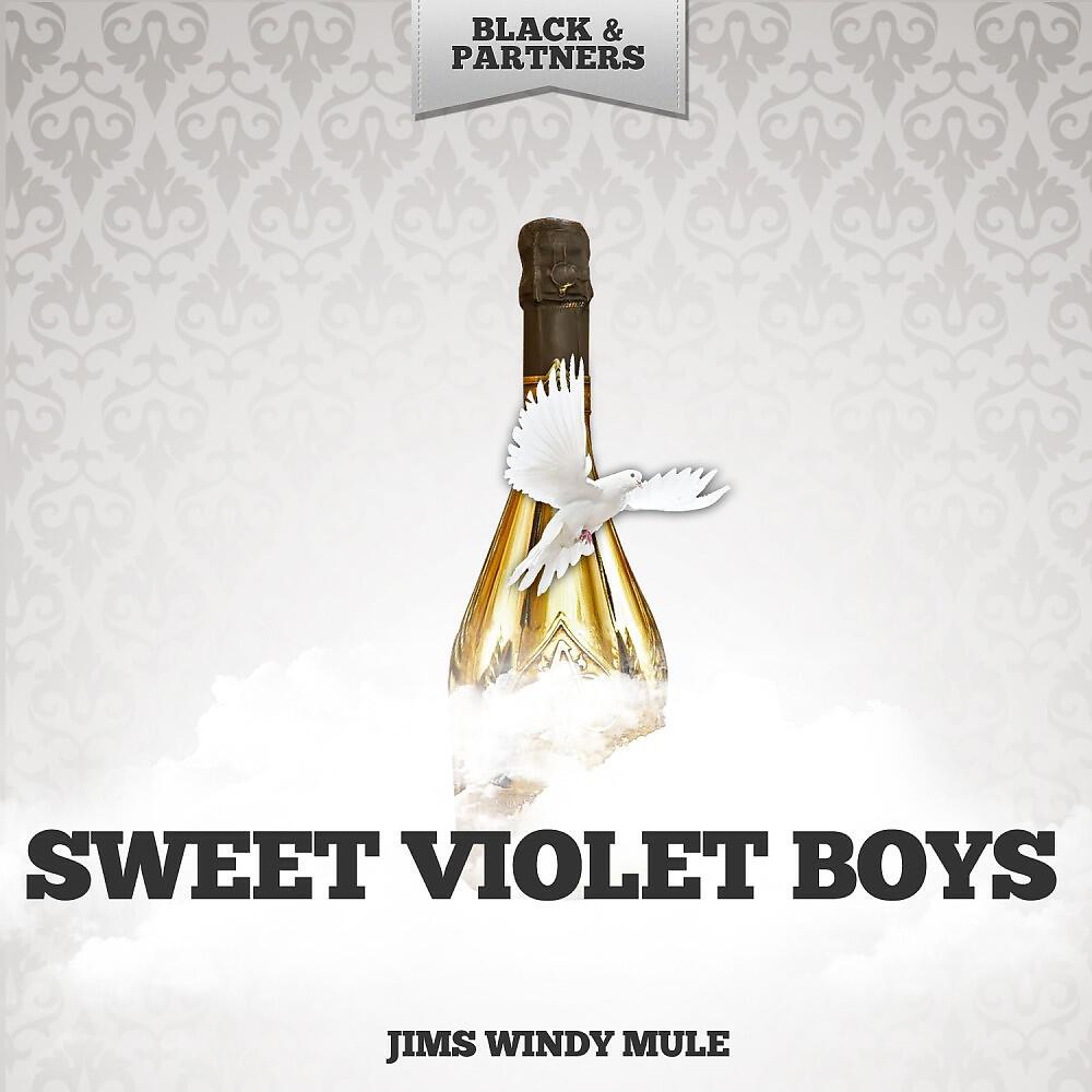 Sweet Violet Boys - My Head Went Round and Round (Original Mix)