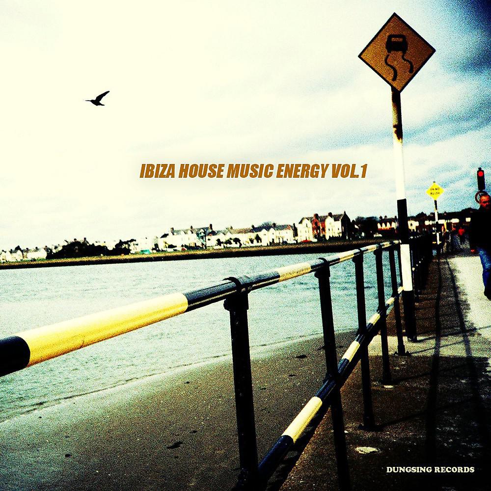 Постер альбома Ibiza House Music Energy, Vol. 1