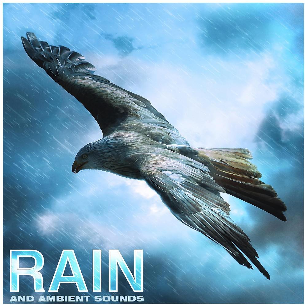 Постер альбома Rain and Ambient Sounds, Relaxation, Meditation, Yoga