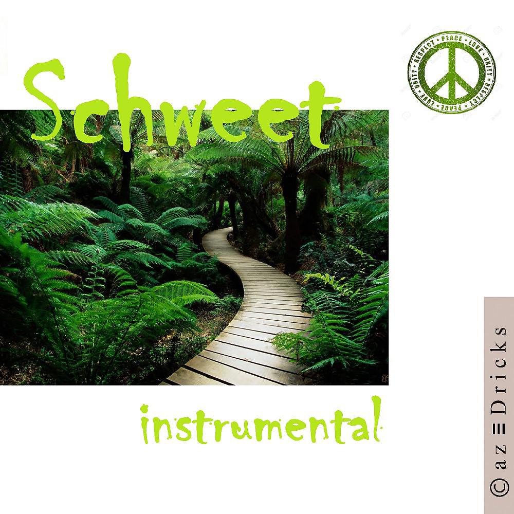 Постер альбома Schweet (Instrumental)
