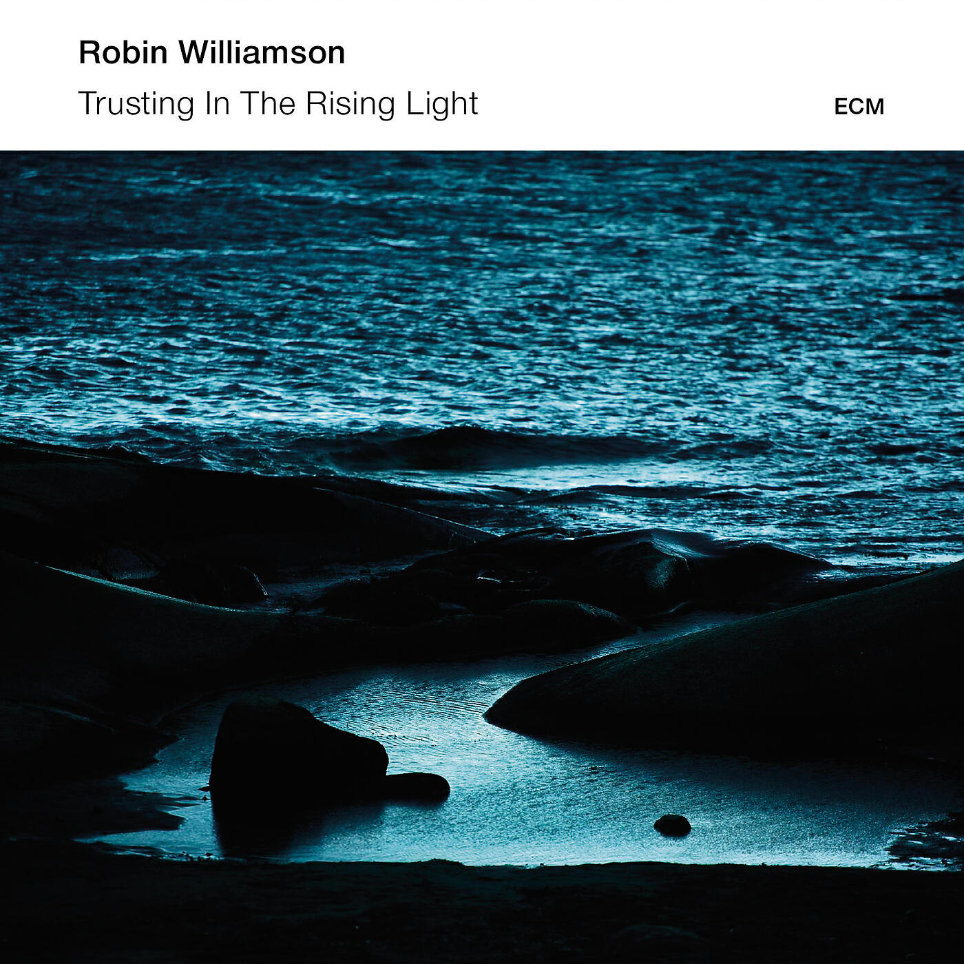 Robin Williamson - The Cards