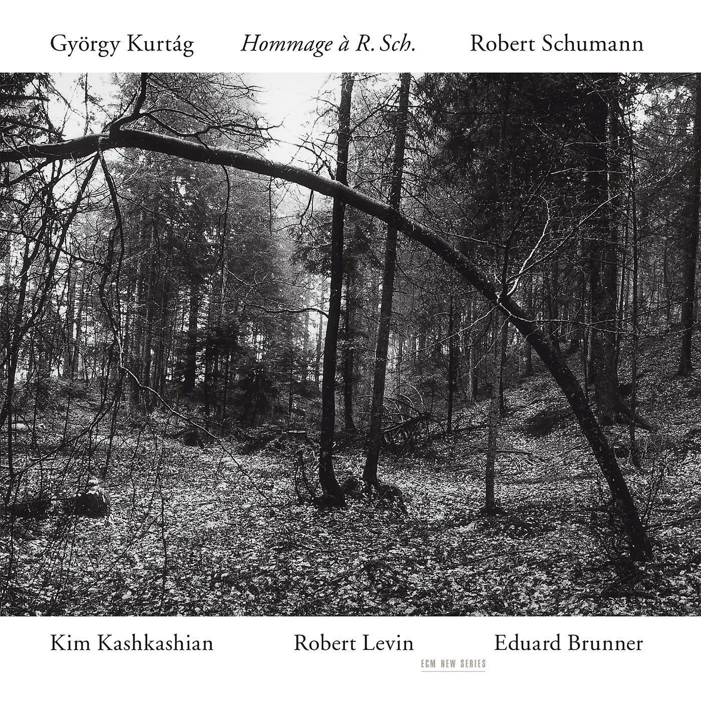 Постер альбома Kurtág, Schumann: Hommage à R. Sch.