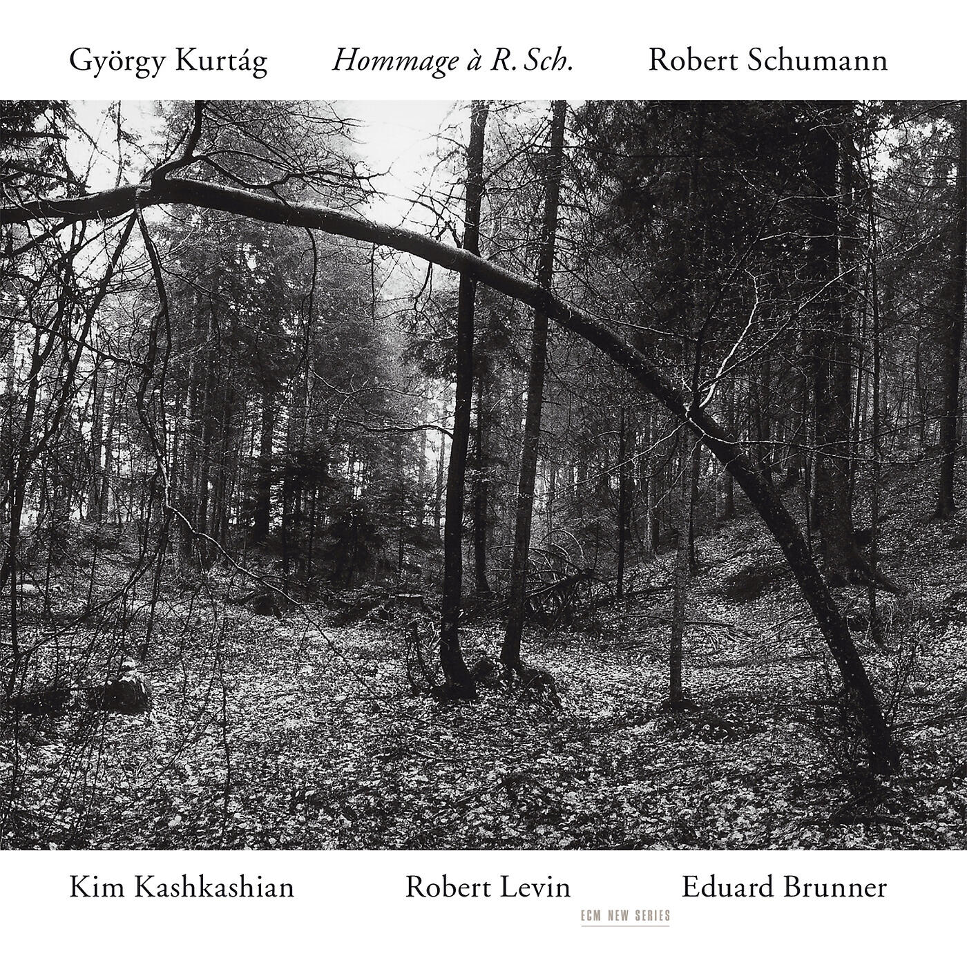 Kim Kashkashian - Kurtág: Hommage à R.Sch., Op.15d - In der Nacht (Presto)