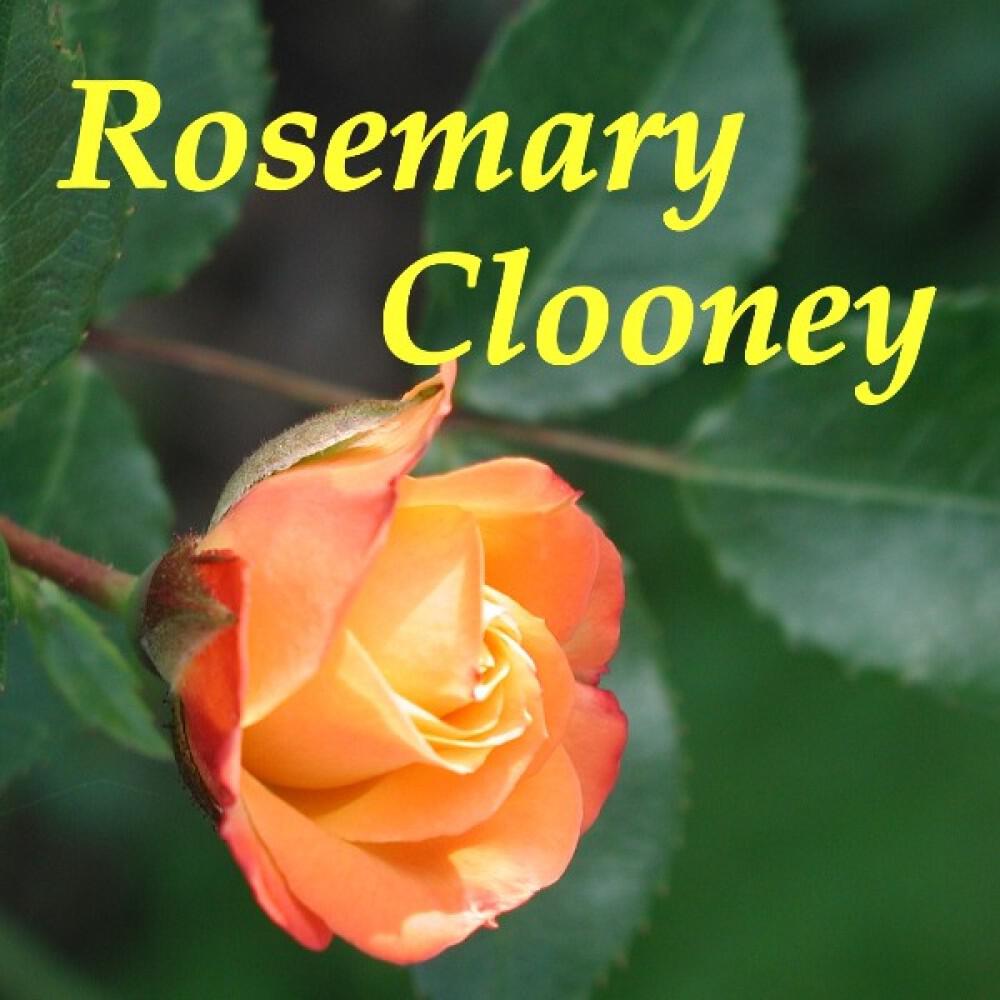 Rosemary Clooney - Withered Roses (Feat. George Morgan)
