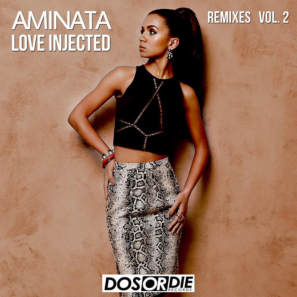 Aminata - Love Injected (Andrew Proland's Hot Hotels Instrumental Mix)