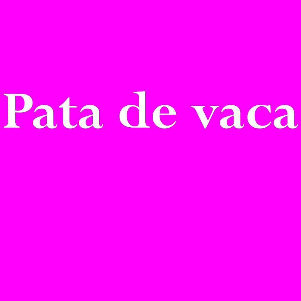 Visual Works - Raim de Taula