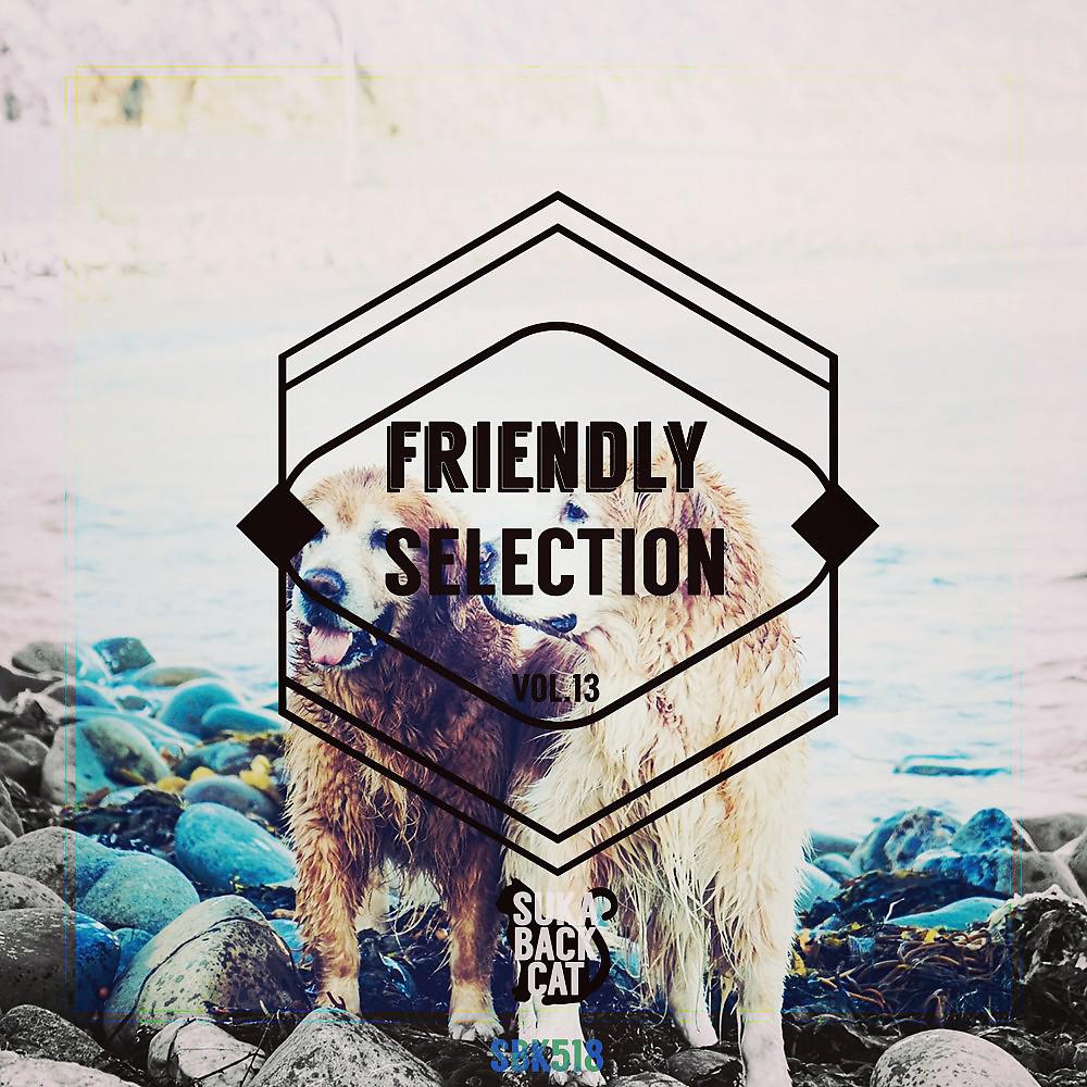 Постер альбома Friendly Selection, Vol. 13