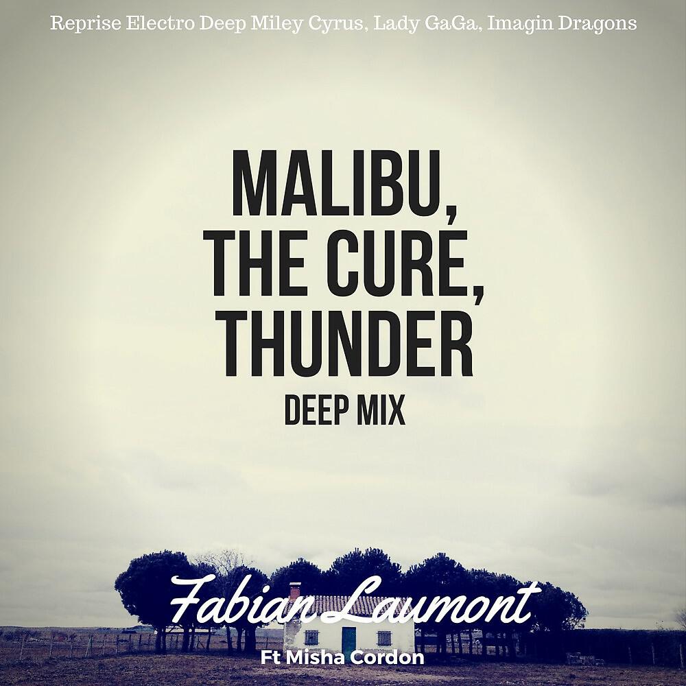 Fabian Laumont & Misha Cordon - The Cure (Reprise Electro Deep Lady Gaga)