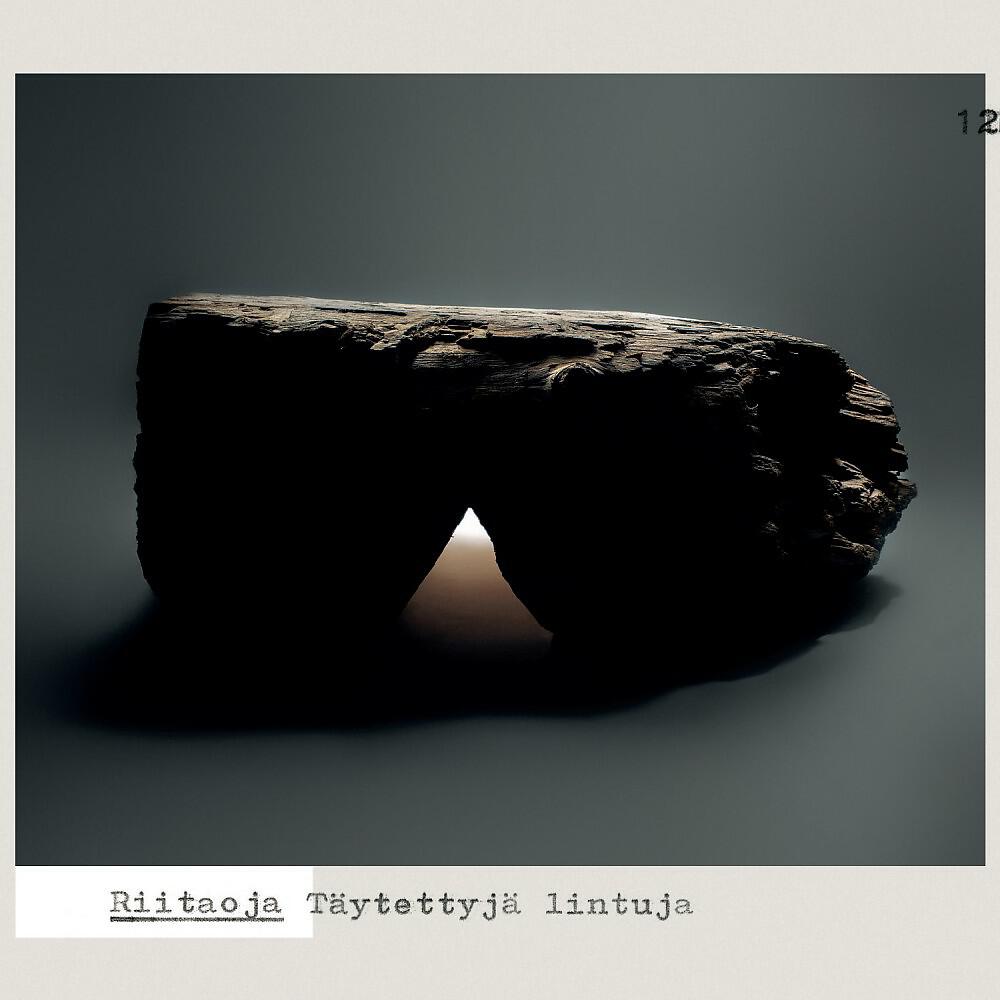 Riitaoja - Henriksson