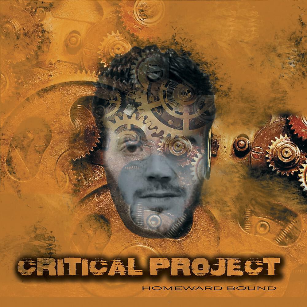 Critical Project - The Wall