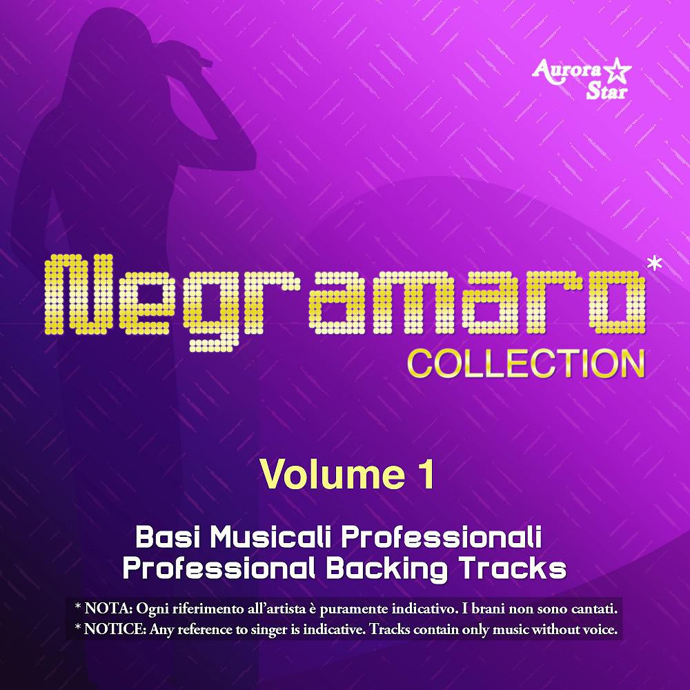 Постер альбома Negramaro Collection