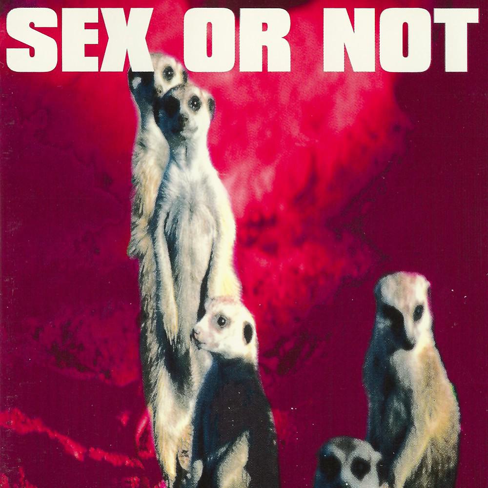 Постер альбома Sex or Not