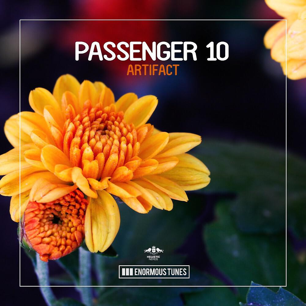 Passenger 10 - Artifact