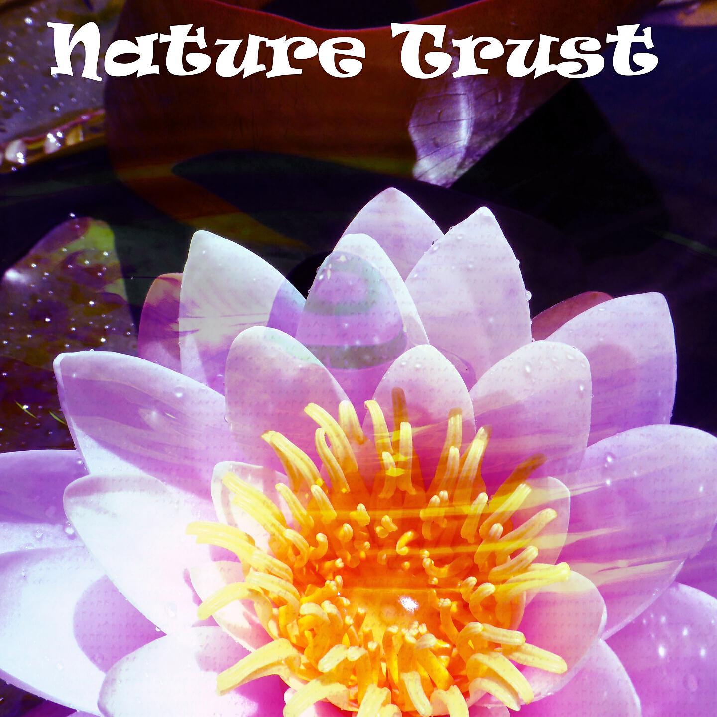 Echoes Of Nature - White Noise Fan