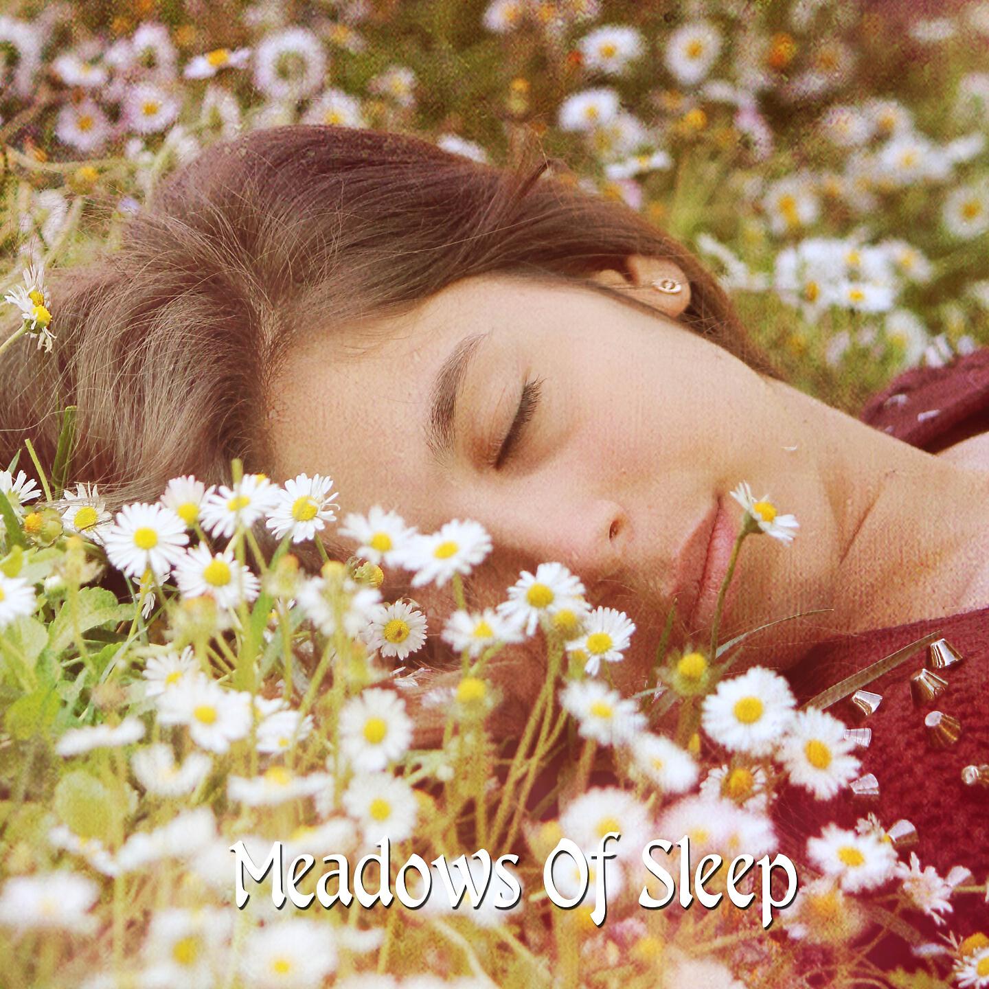 Deep Sleep Relaxation - The Dawn Chorus Of Binaural Beats