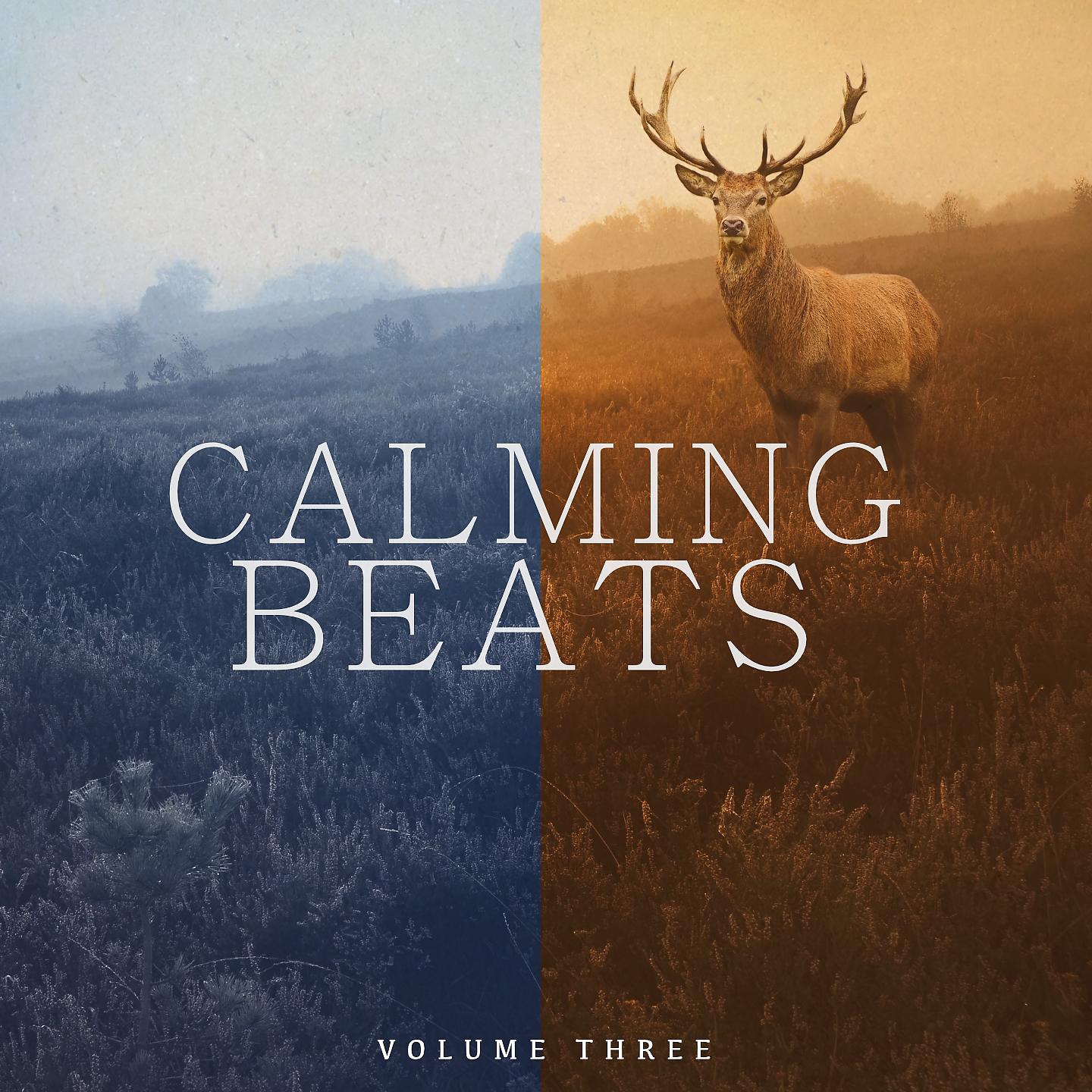 Постер альбома Calming Beats, Vol. 3