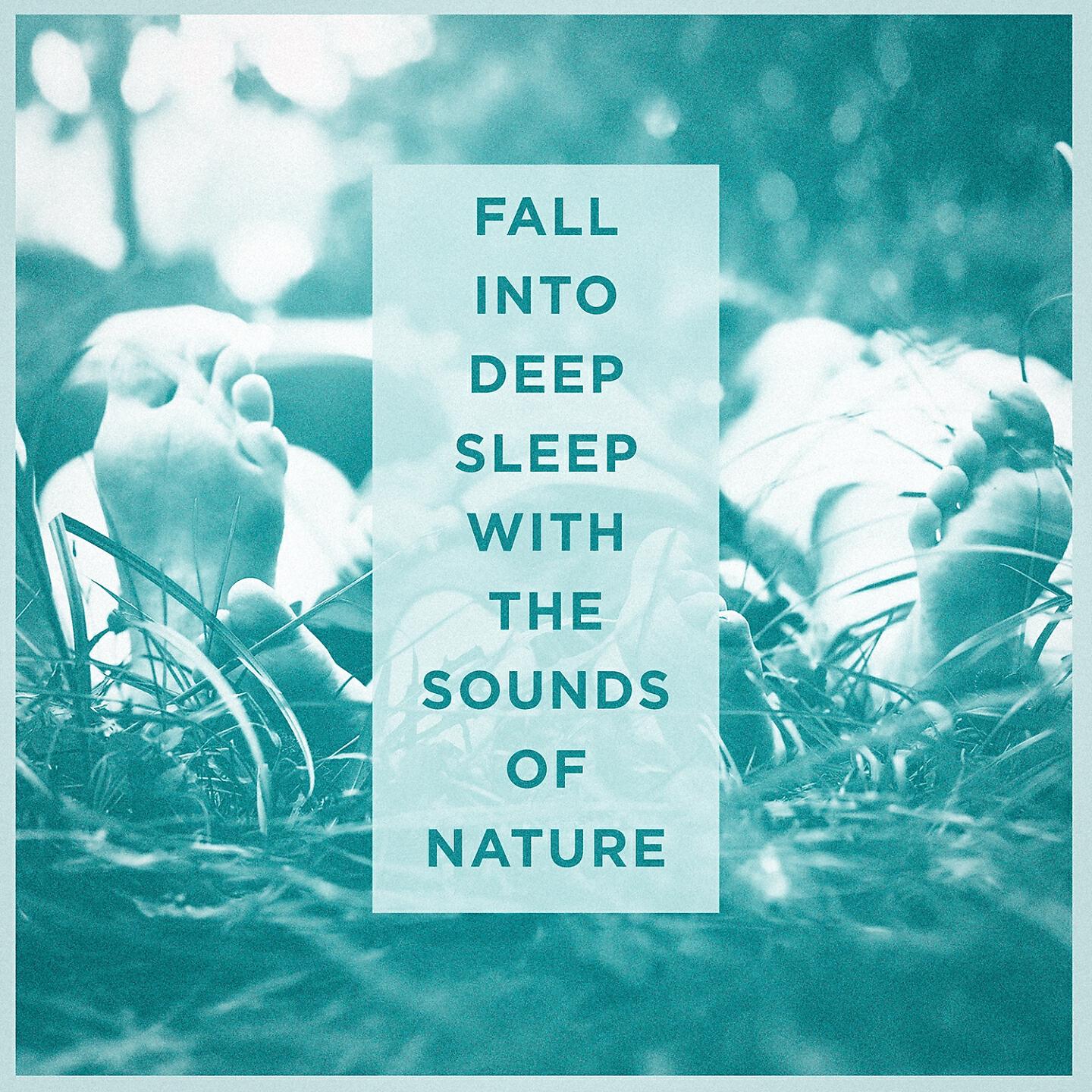 Michael Hamilton - Nocturnal Wasteland Sounds 1: Crickets, Grasshoppers and Owls