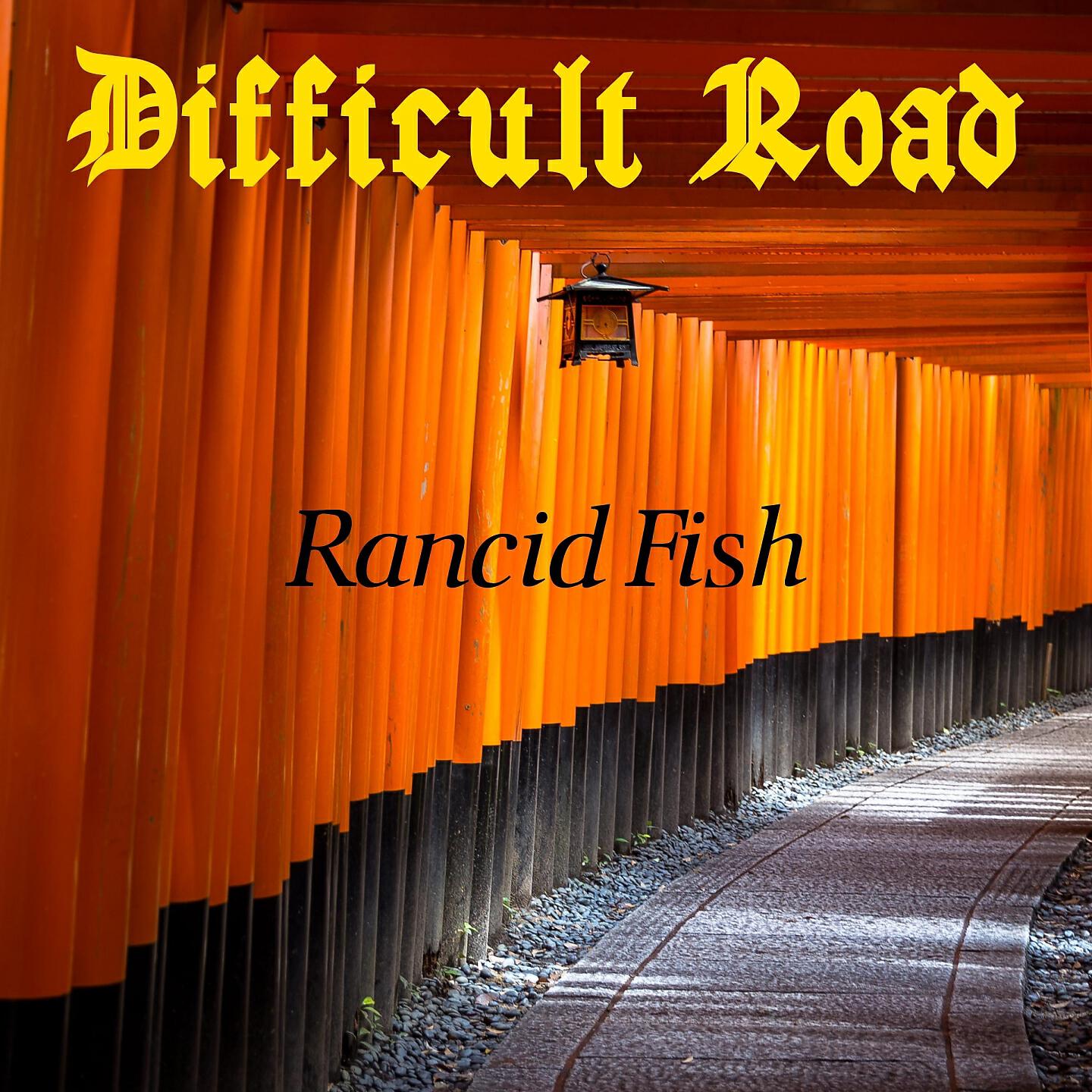 Rancid Fish - Kings Of Leon