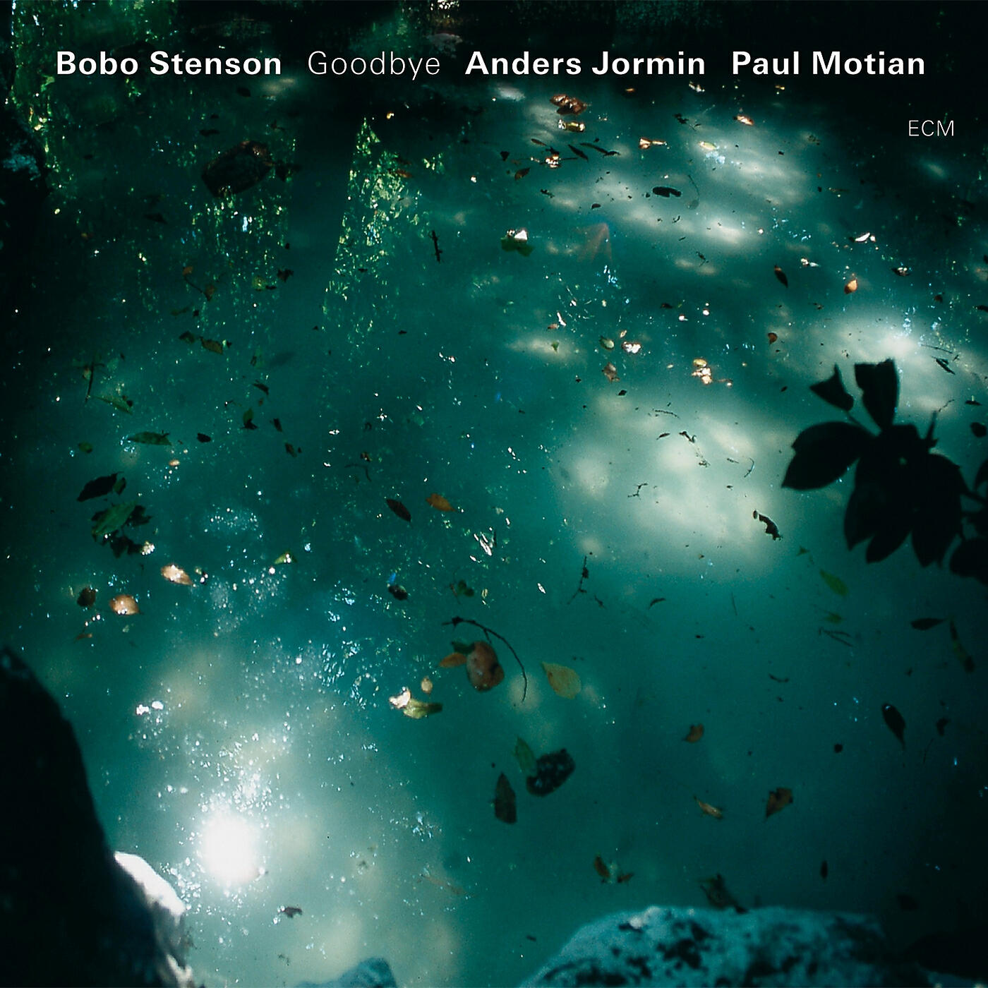 Bobo Stenson - Seli