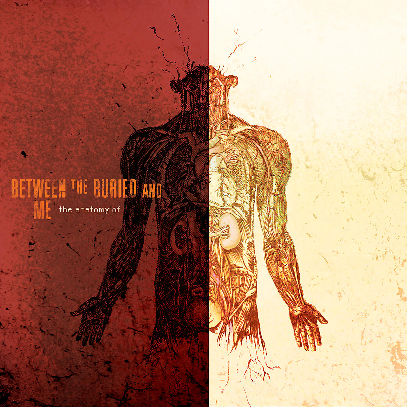 Between the Buried and Me - Bicycle Race