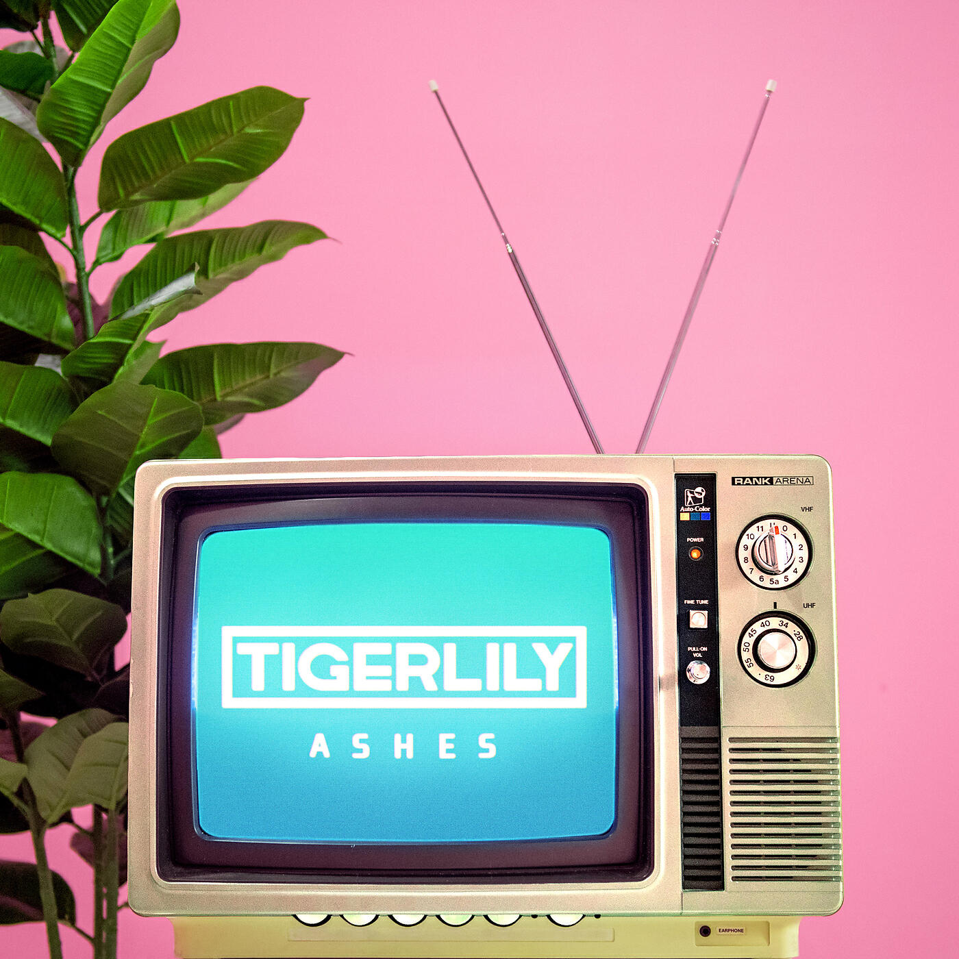 Tigerlily - Ashes