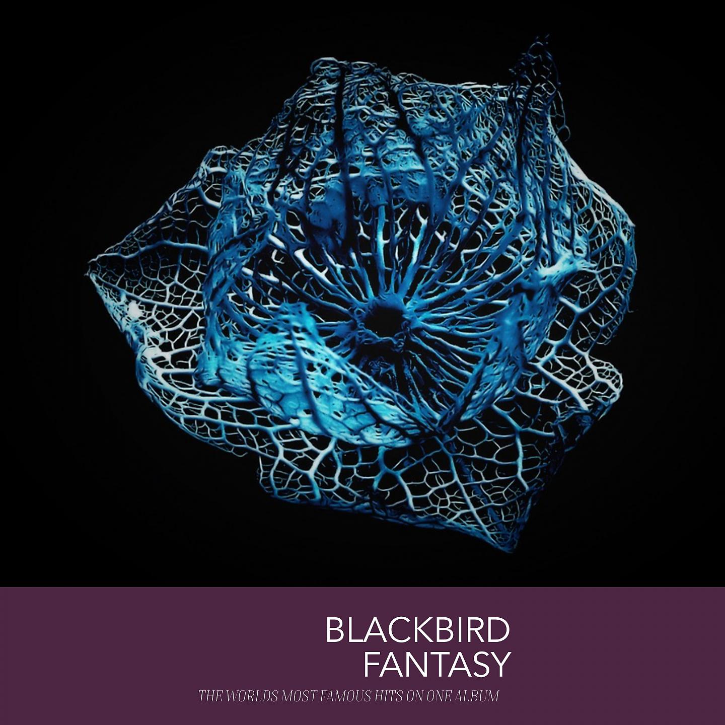 Постер альбома Blackbird Fantasy