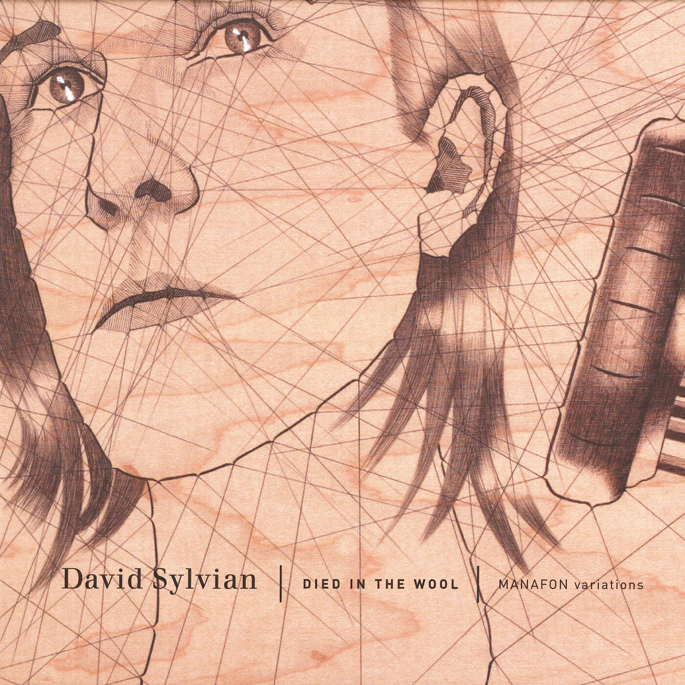 David Sylvian - Anomaly At Taw Head