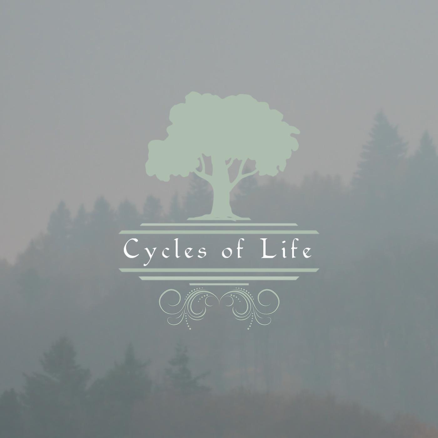 Постер альбома Cycles of Life