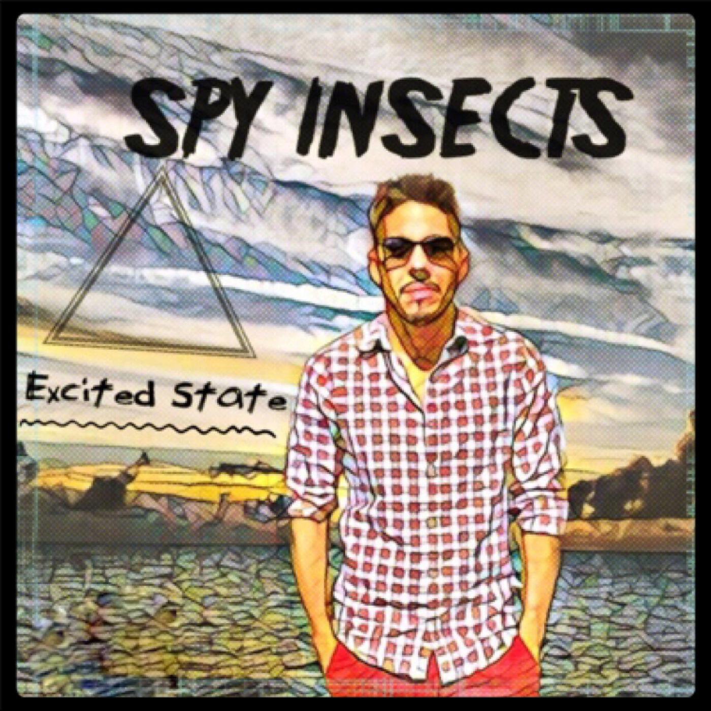 Spy Insects - Kings (Sky Dance Mix)