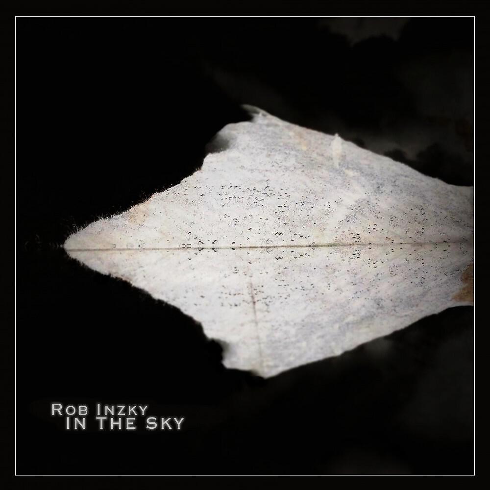 Vibreen - Dreamer (Rob Inzky Remix)