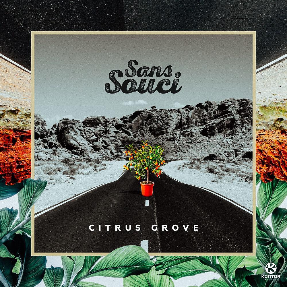 Sans Souci - Citrus Grove