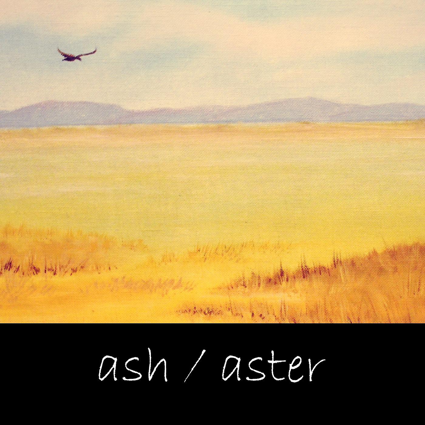 Постер альбома Ash / Aster
