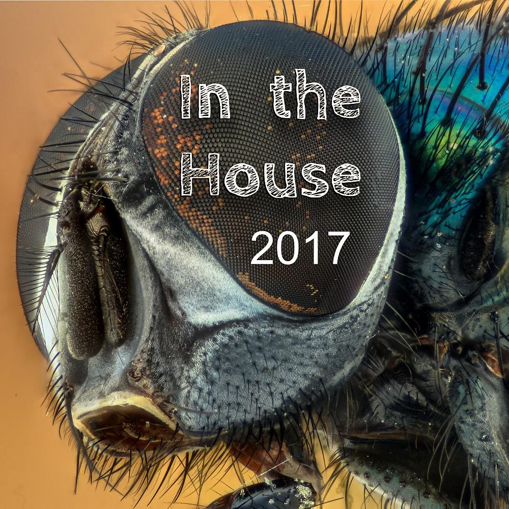 Постер альбома In the House 2017