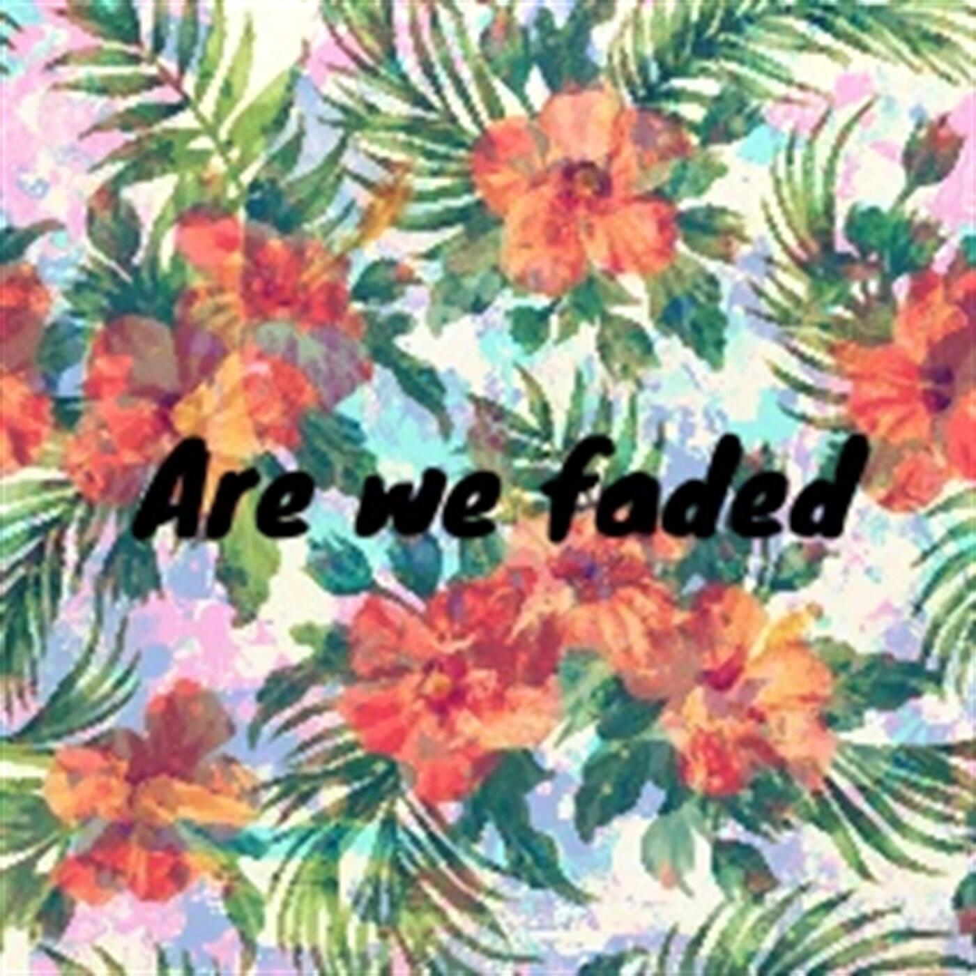 Flvo Electric - Are We Faded (feat. Mija)