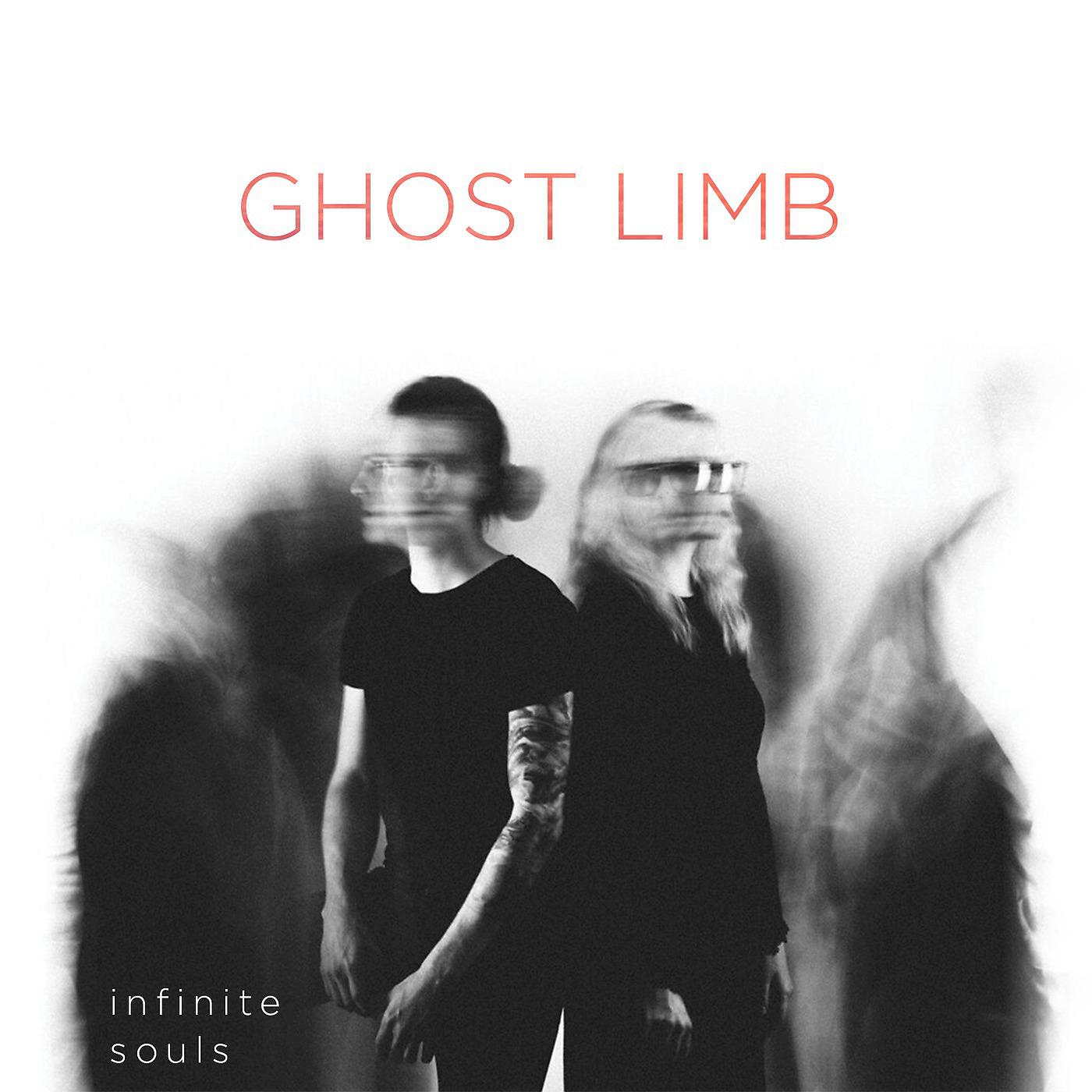 Постер альбома Ghost Limb