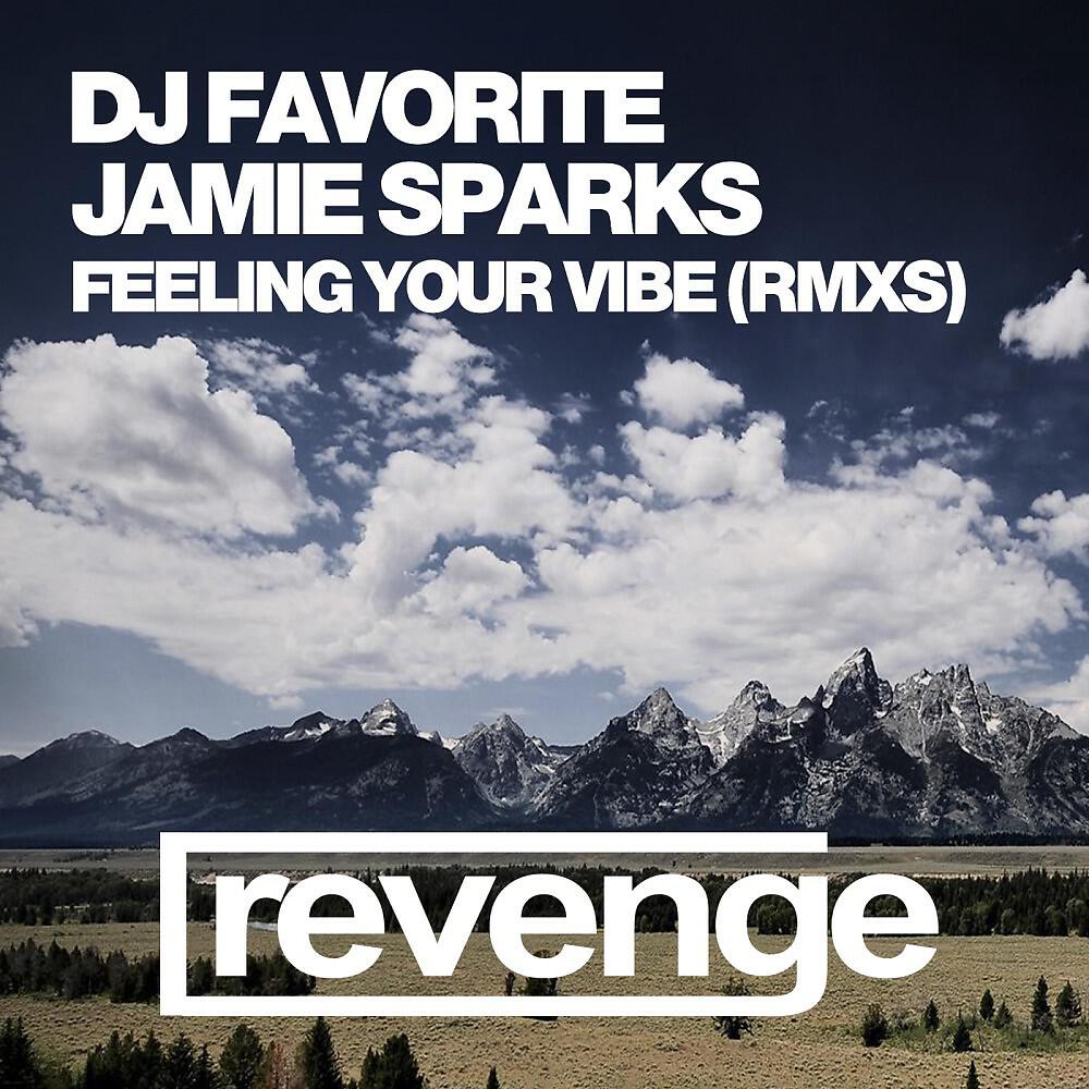 DJ Favorite & Jamie Sparks - Feeling Your Vibe (Incognet Remix)