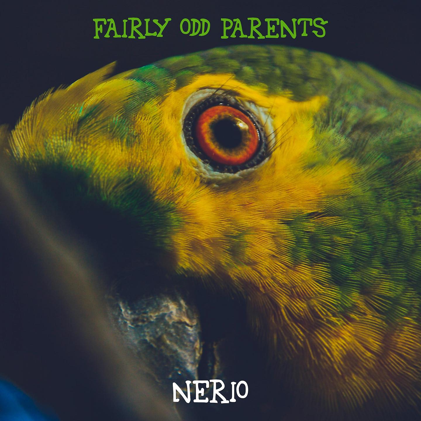 Постер альбома Fairly Odd Parents