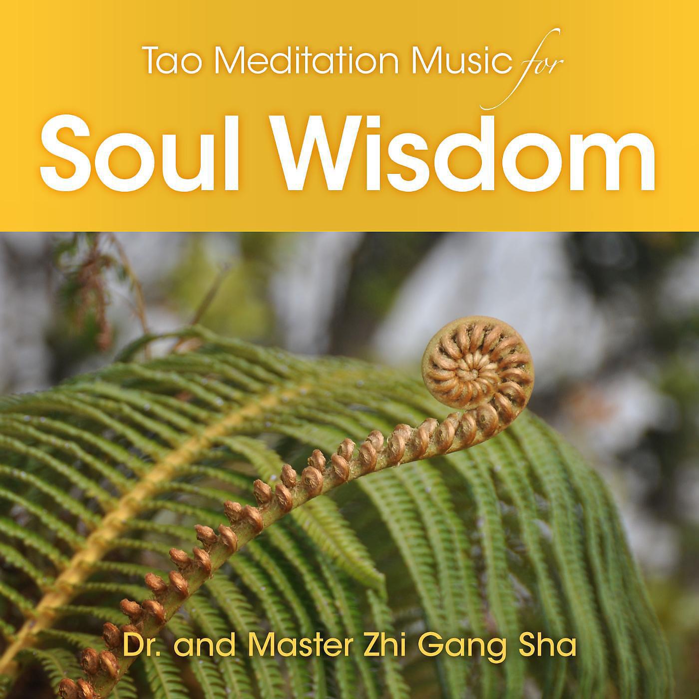 Dr. & Master Zhi Gang Sha - Tao Meditation Music for Soul Wisdom