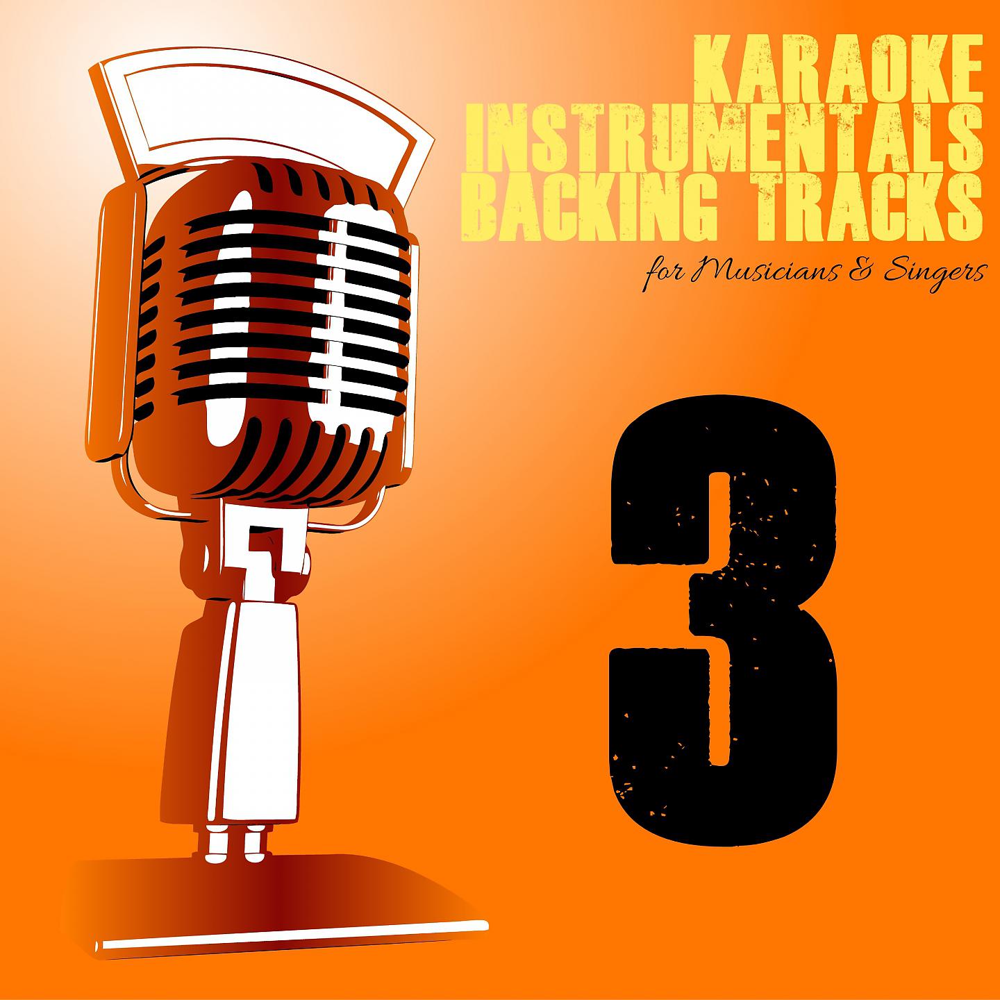 Постер альбома Karaoke, Instrumentals, Backing Tracks, Vol. 3