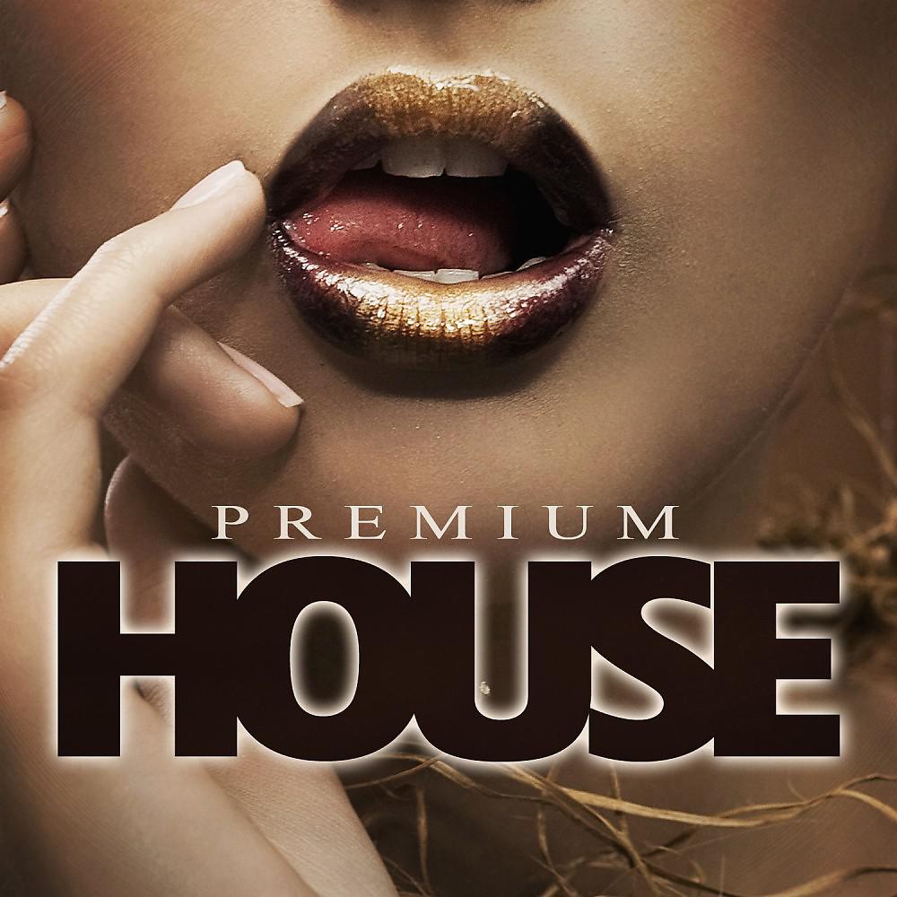 Постер альбома Premium House