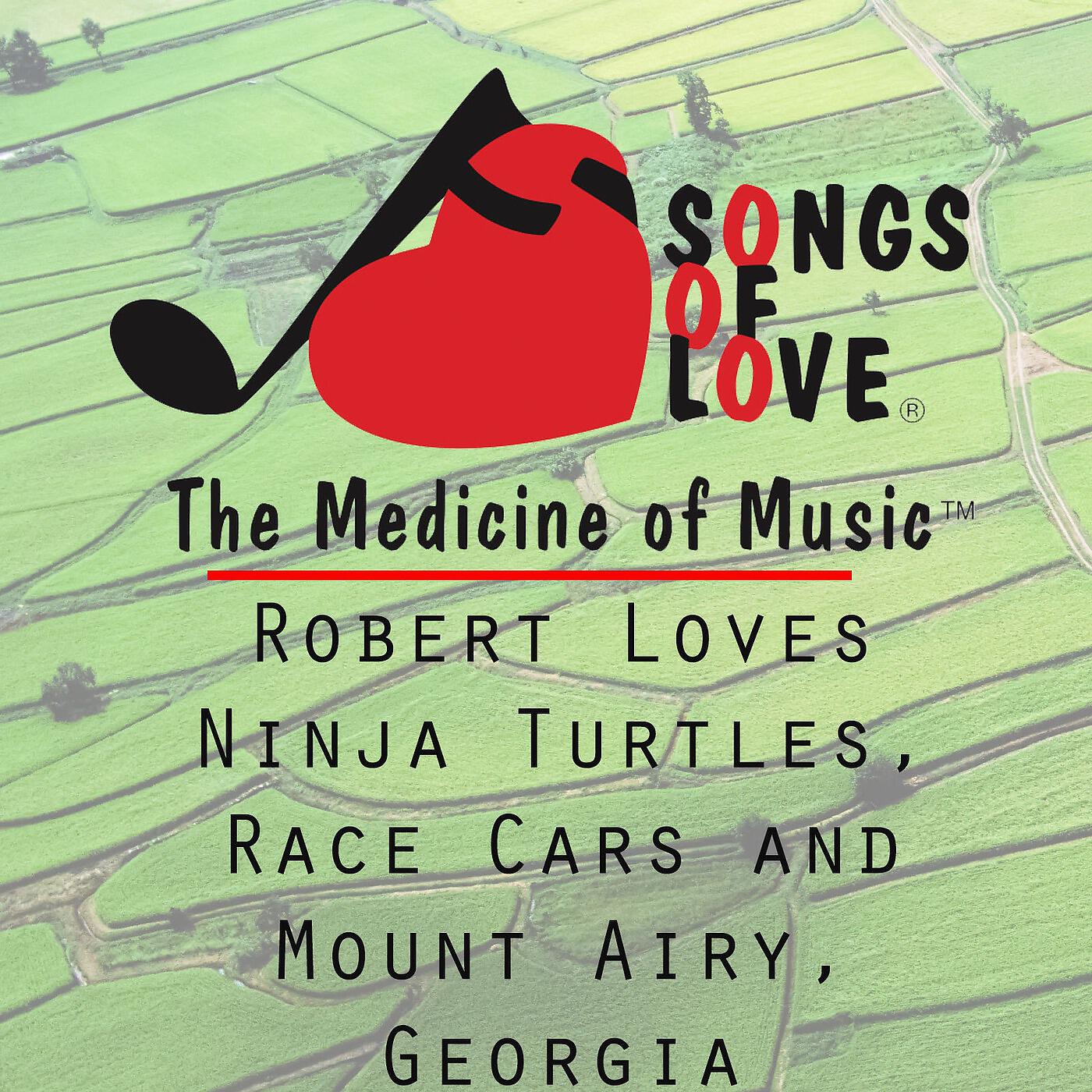 T. Jones - Robert Loves Ninja Turtles, Race Cars and Mount Airy, Georgia