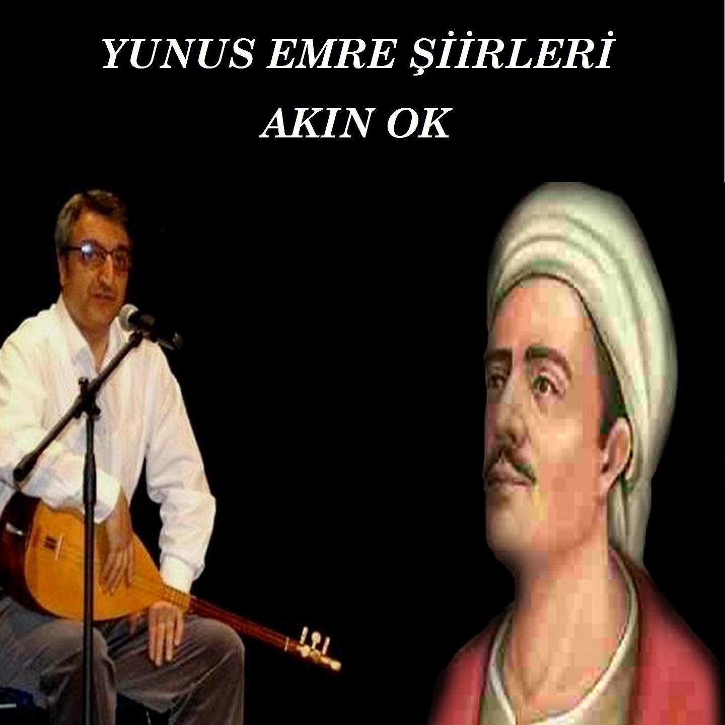 Постер альбома Yunus Emre Şiirleri